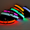 Beautiful Pet Dog Collars and Leads LED Light Pet