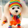 Winter Pet Rainbow Striped Hat Scarf Socks